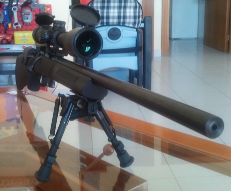 Pues aqui os presento la modificacion que he realizado a mi carabina, puesto que la culata que trae de 100