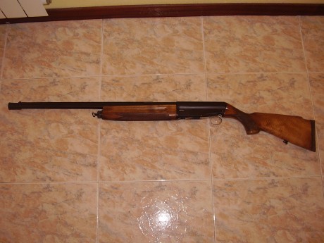 Hola a todos.
 Alguien ha visto, ha tenido o ha oido de la escopeta del 12, semiautomatica (repetidora), 52