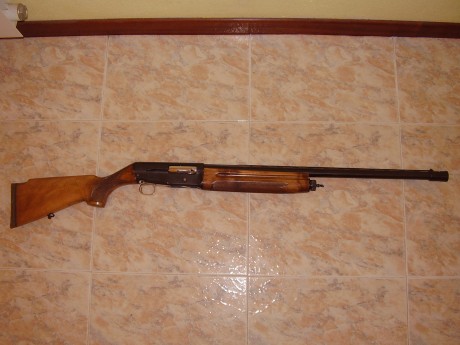 Hola a todos.
 Alguien ha visto, ha tenido o ha oido de la escopeta del 12, semiautomatica (repetidora), 51