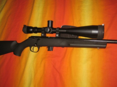 Pues aqui os presento la modificacion que he realizado a mi carabina, puesto que la culata que trae de 50