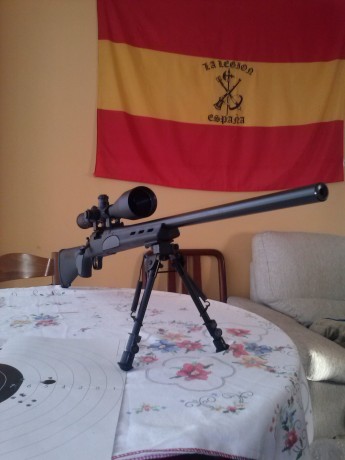 Hola a todos, viendo que son varios los propietarios de un remington 700 sps varmint, police, y demas 10