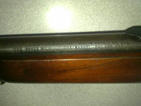 Hola chicos.
Recientemente me han ofrecido comprar un rifle marlin 444 ss.Que os parece este rifle para 141