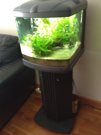 Buenas,

Vendo un acuario de agua dulce, 60 litros, sin un rasguño, como nuevo. Acuario de alta gama, 02