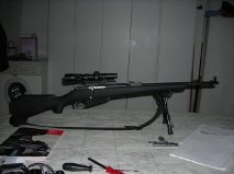 NUEVA INQUIETUD!!!! :mrgreen:  :mrgreen: 

Me he comprado un mosin nagant M38, me lo traen el martes o 00