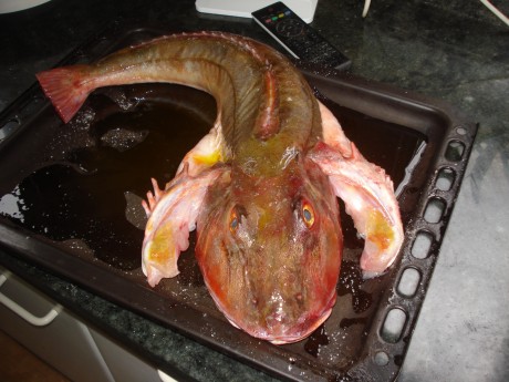 Este es un llamamiento para los foreros de Cantabria que no tenemos el gusto de conocernos en persona, 151