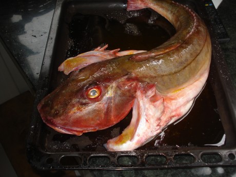 Este es un llamamiento para los foreros de Cantabria que no tenemos el gusto de conocernos en persona, 150