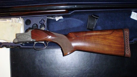 Vendo miroku mk38 trap con culata ajustable.
Choques fijos * y *_
Cañón de 76 cm
Banda 10mm

La escopeta 01