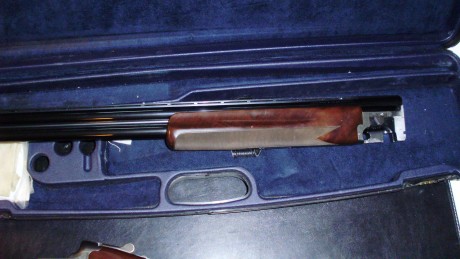 Vendo miroku mk38 trap con culata ajustable.
Choques fijos * y *_
Cañón de 76 cm
Banda 10mm

La escopeta 22