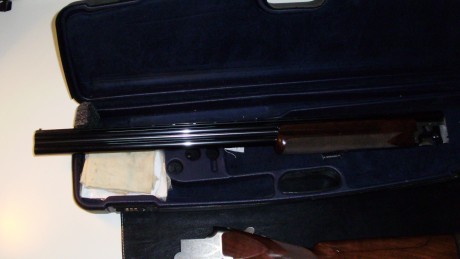Vendo miroku mk38 trap con culata ajustable.
Choques fijos * y *_
Cañón de 76 cm
Banda 10mm

La escopeta 21