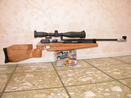 Hola, acabo de adquirir esta carabina a un compañero del foro. Buscaba algo de bombeo y me ha parecido 100