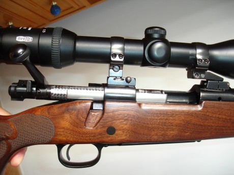 hola foreros aver yo ya soi veterano en esto de la caza mayor e tenio varios rifles y varios visores pero 21