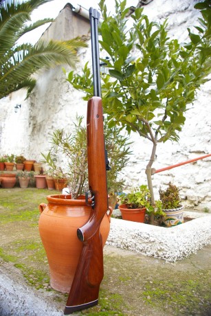 Que carabina comprariais de cañon fijo,para ocio,no matar animalitos ,en 5,5,potente¿ 61