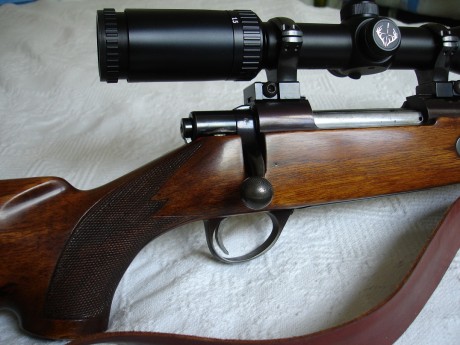 Hola necesito saber que base/anillas le debo o puedo poner a un Sako Finnbear L 61 R en 300WM. Este modelo 60