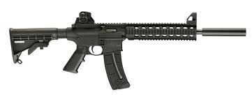 Buenas, como parece que se esta cociendo el tema de ipsc con mini rifle del 22, que os parece la inversion 00
