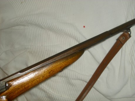 Ya amenacé hace tiempo en el hilo de los Benelli, seguramente es el rifle más extendido en España y cada 61