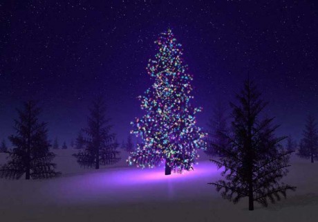 FELIZ NAVIDAD Y PRÓSPERO AÑO NUEVO PARA TODOS, Y SOBRE TODO SALUD. 00