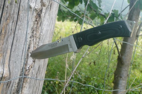 Hola compañeros,

mi pregunta es que requisitos ha de tener un cuchillo que quiera utilizar para cualquier 101