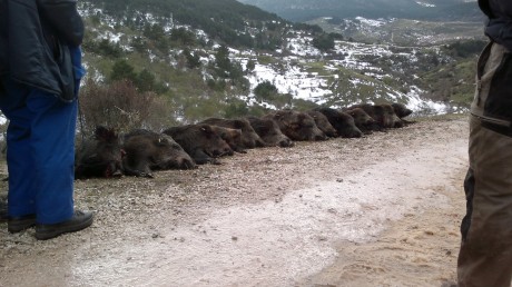  LOS ALMUERZOS DE CAZA MENOR NO CUENTAN Y LOS ABATES SIN FOTO TAMPOCO 
 
Voy a recordar las normas y asi 130