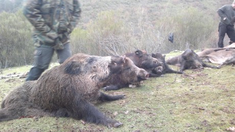  LOS ALMUERZOS DE CAZA MENOR NO CUENTAN Y LOS ABATES SIN FOTO TAMPOCO 
 
Voy a recordar las normas y asi 151