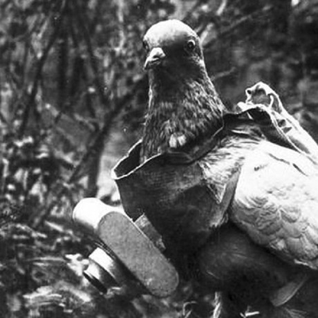 Hace unos días encontré por casualidad en una web extranjera un arma a la venta que hacía muchos años 172