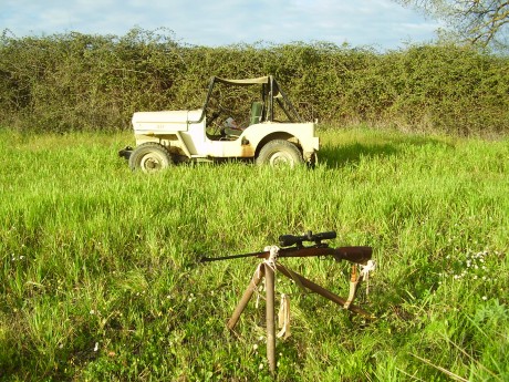 Hola a todos me gustaría exponer las diferentes opiniones sobre el tipo de rifle y calibre mas versátil 20