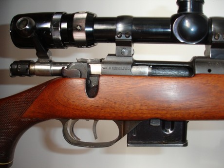 Hola a todos me gustaría exponer las diferentes opiniones sobre el tipo de rifle y calibre mas versátil 132