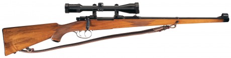 Hola a todos me gustaría exponer las diferentes opiniones sobre el tipo de rifle y calibre mas versátil 22