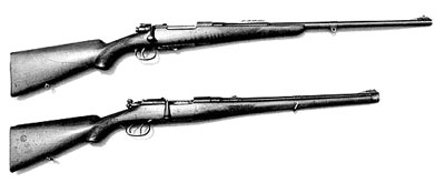 Hola a todos me gustaría exponer las diferentes opiniones sobre el tipo de rifle y calibre mas versátil 50