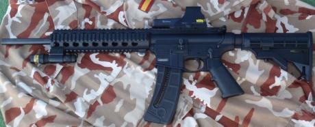 Hola compañeros. Estoy decidido a comprar la carabina Mp15 en calibre 22lr de Smith and Wesson. Lo cierto 80