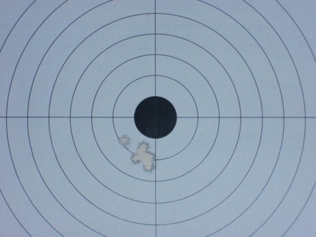 Hola compañeros. Estoy decidido a comprar la carabina Mp15 en calibre 22lr de Smith and Wesson. Lo cierto 100