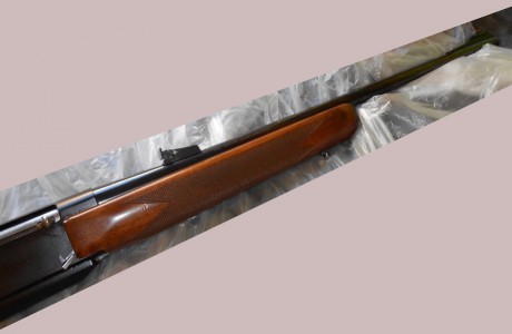 Hola, 
me he decidido por comprar este rifle, 
por que se me queda a un precio correcto 
y está en buenas 00