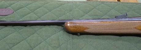 Hola, 
me he decidido por comprar este rifle, 
por que se me queda a un precio correcto 
y está en buenas 11