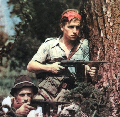 Hace unos días encontré por casualidad en una web extranjera un arma a la venta que hacía muchos años 81
