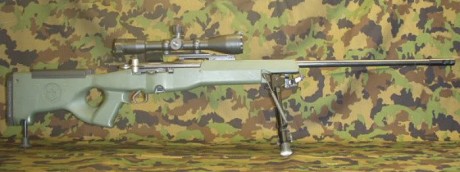 Hola amigos!!

Aquí os dejo un post interesante del conocido K 31..saludos!

https://elbauldeguardian.com/2012/12/26/los-suizos-y-la-leyenda-el-famoso-rifle-schmidt-rubin-k-31/ 52