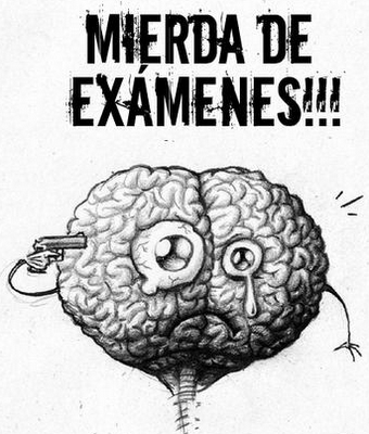 ahora dicen que se puede copiar.jajaja, esto es pa "cagarse"

 http://www.libertaddigital.com/sociedad/la-universidad-de-sevilla-reconoce-el-derecho-de-los-alumnos-a-copiar-en-los-examenes-1276381824/ 30