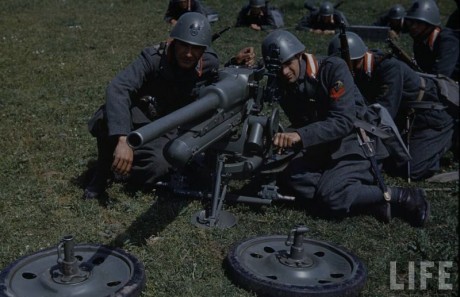 Hace unos días encontré por casualidad en una web extranjera un arma a la venta que hacía muchos años 100
