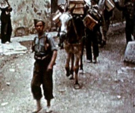  Buen corto !! pero hay una gran pega!! esos uniformes ni siquiera son españoles y esas escopetas de caza 141