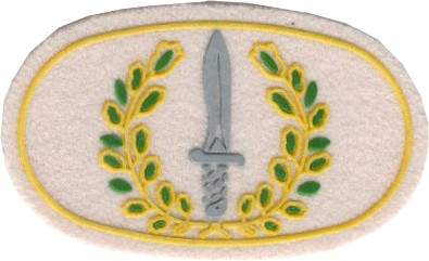 Busco antiguos integrantes del  GOE1  Ordenes militares, Especialmente a los chicos de la  13  30