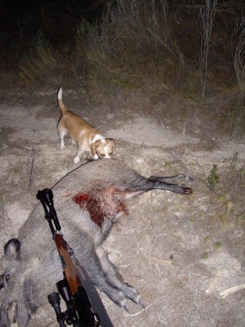 Si señores, sin querer le he creado un trauma a mi pobre perrita. Acostumbrada ella, a que a su ataque 91