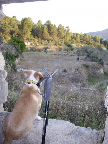 Si señores, sin querer le he creado un trauma a mi pobre perrita. Acostumbrada ella, a que a su ataque 90