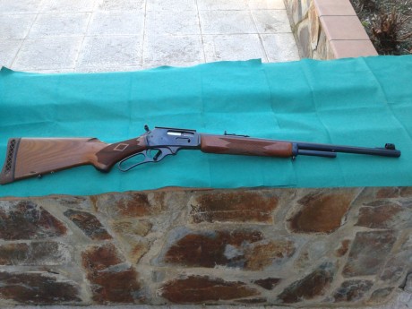   Buenas tardes, recientemente he adquirido un Marlin 444, supongo que de los últimos modelos, ya que 31