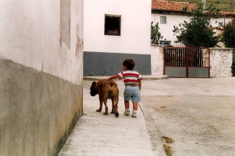 Hola, soy un perrero joven y con poca experiencia, por eso me gustaría apelar a la sabiduría de los perreros 140
