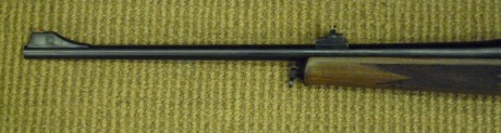Vendo rifle de cerrojo rectilineo Blaser R93 Luxus-España, cal.30-06. Grabados de Cochino y Venado. Perfecto 00