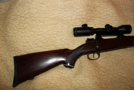 Pues lo dicho despues de mucho buscar un rifle me hice con un rifle Kettner un señor mayor que dejo la 22