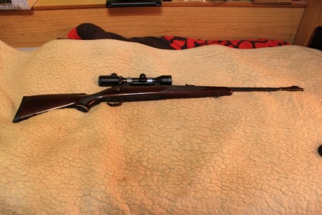 Pues lo dicho despues de mucho buscar un rifle me hice con un rifle Kettner un señor mayor que dejo la 42