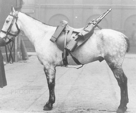 Hace unos días encontré por casualidad en una web extranjera un arma a la venta que hacía muchos años 110