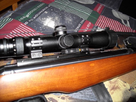 Monté un visor 3-9x40 wr gamo con monopieza, sobre la montura que traía mi whisper igt, del 4.5, haciendo 70