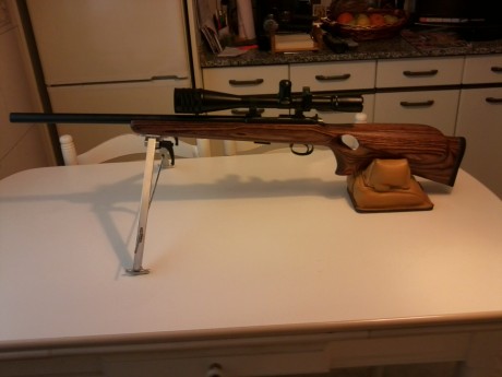 Compañeros aquí os dejo una agrupación de mi CZ 455 thumbhole a 50 metros de distancia con munición SK 90
