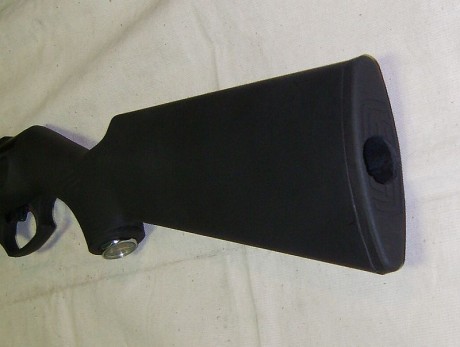 Así la presentan en estas dos páginas rusas:

 http://www.topguns.ru/gamo-cfx-pcp/ 

 http://forum.guns.ru/forum/25/718960.html 60