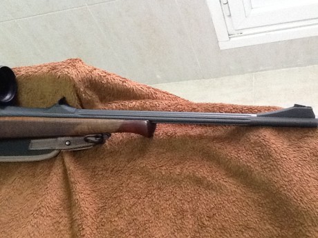 Hola amigos, tengo ocasion de hacerme con este rifle y calibre, me gustaria me dierais opinion sobre el 22